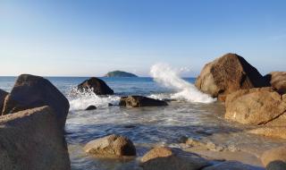 一朵美丽的浪花 一朵美丽的浪花